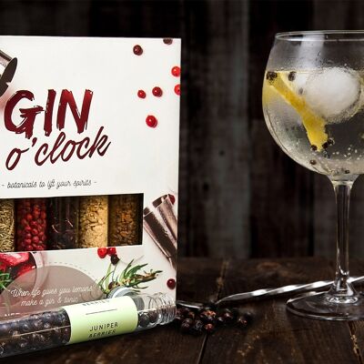Gin O’Clock | Infuse your Craft Gin & Cocktails | 8 Botanical spices