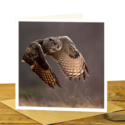 Eagle Owl Flying - Greeting Card (SD-GC-15SQ-16- CL)