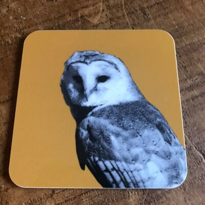 Barn Owl Coaster (SD-CO-11-MUS)
