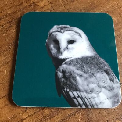 Barn Owl Coaster (SD-CO-11-TL)