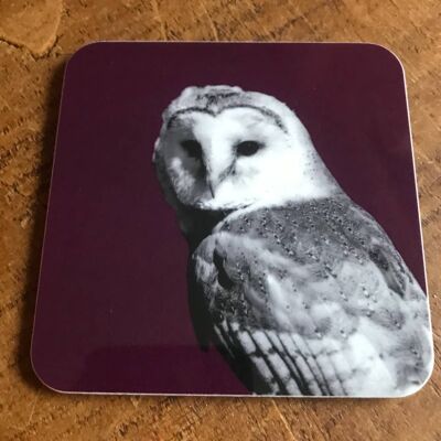 Barn Owl Coaster (SD-CO-11-MLB)