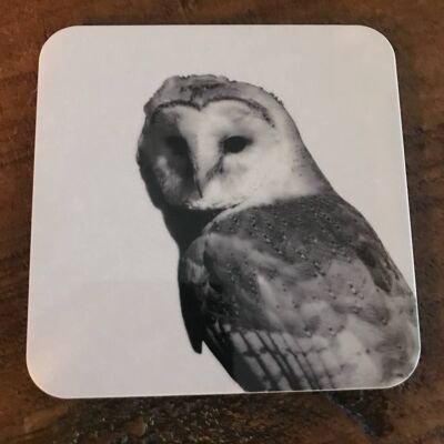 Barn Owl Coaster (SD-CO-11-BW)
