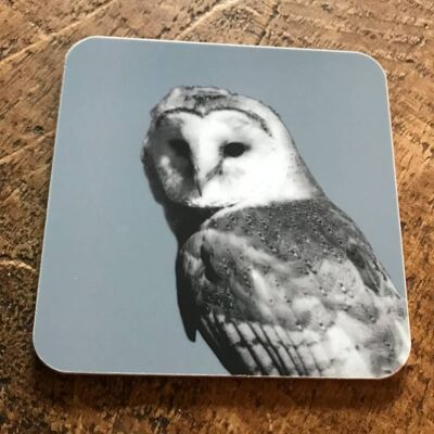Barn Owl Coaster (SD-CO-11-BLG)