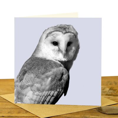 Barn Owl Greeting Card (SD-GC-15SQ-29-PLV)