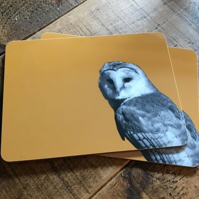 Barn Owl Placemat (SD-PM-11-MUS)