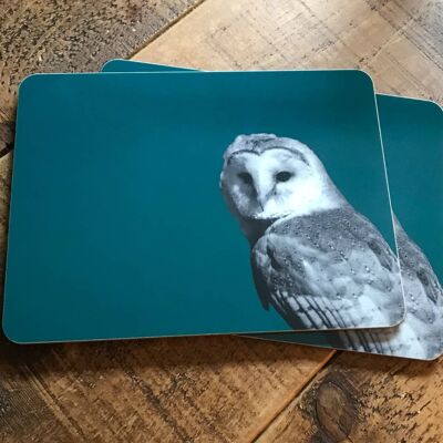 Barn Owl Placemat (SD-PM-11-TL)