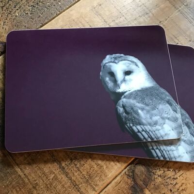 Barn Owl Placemat (SD-PM-11-MLB)