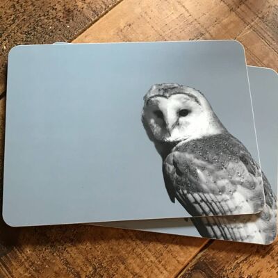 Barn Owl Placemat (SD-PM-11-BLG)