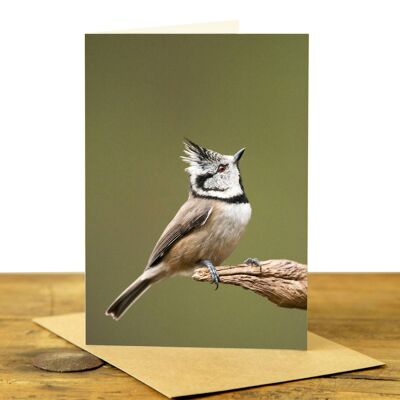 Crested Tit Greeting Card (SD-GC-75P-06-CL)