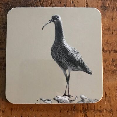 Curlew Coaster (SD-CO-22-SND)