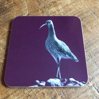 Curlew Coaster (SD-CO-22-MLB)