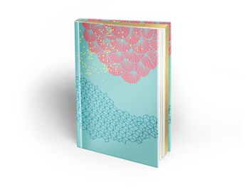 Carnet de Luxe Trame 3 (bleu ciel et rose) 1