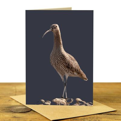 Curlew Greeting Card (SD-GC-75P-41-CHA)