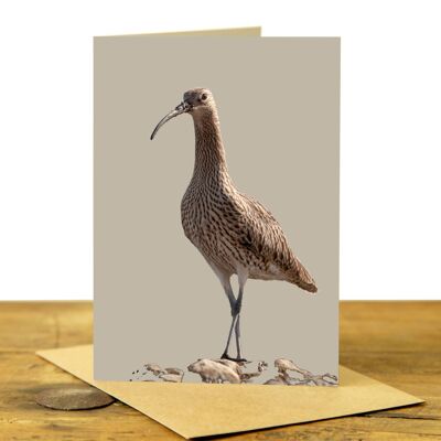 Curlew Greeting Card (SD-GC-75P-41-SDG)