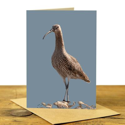 Curlew Greeting Card (SD-GC-75P-41-PLB)