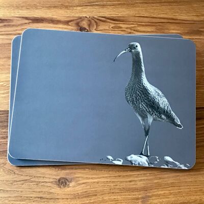 Curlew Placemat (SD-PM-04-CHA)