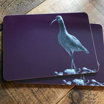 Curlew Placemat (SD-PM-04-MLB)