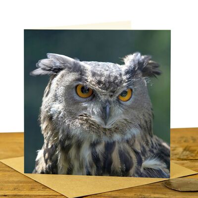 Eagle Owl Scowling - Greeting Card (SD-GC-15SQ-20- CL)