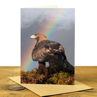 Golden Eagle and Rainbow - Greeting Card (SD-GC-75P-02-CL)