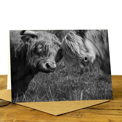 Heads Together Highland Cow Greeting Card (SD-GC-75L-30-BW)