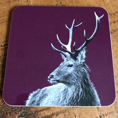 Highland Stag Coaster (SD-CO-16-MLB)