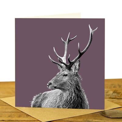 Highland Stag Greeting Card (SD-GC-15SQ-31-DSP)