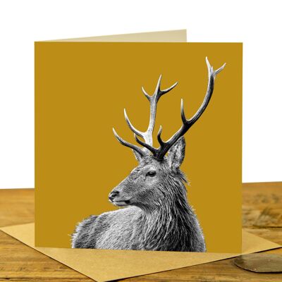 Highland Stag Greeting Card (SD-GC-15SQ-31-MUS)