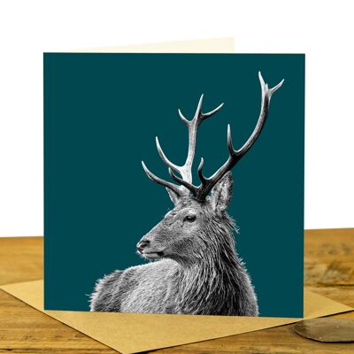 Highland Stag Greeting Card (SD-GC-15SQ-31-TL)