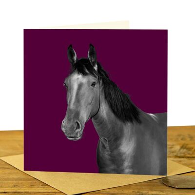 Horse Greeting Card (SD-GC-15SQ-44-CLA)