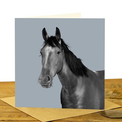 Horse Greeting Card (SD-GC-15SQ-44-PLG)