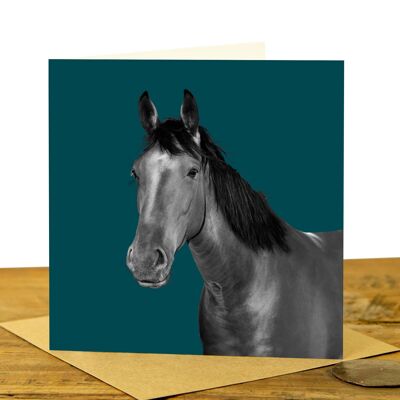 Horse Greeting Card (SD-GC-15SQ-44-TL)