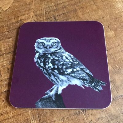 Little Owl Coaster (SD-CO-24-MLB)