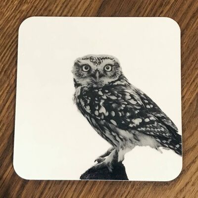 Little Owl Coaster (SD-CO-24-BW)