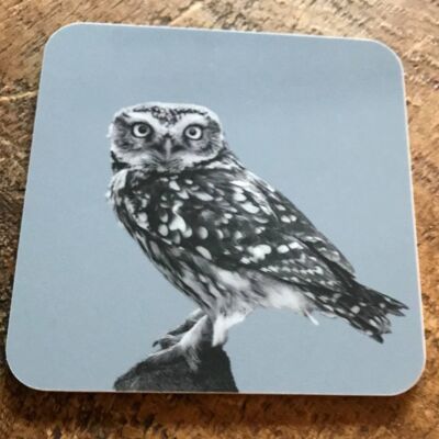 Little Owl Coaster (SD-CO-24-BLG)