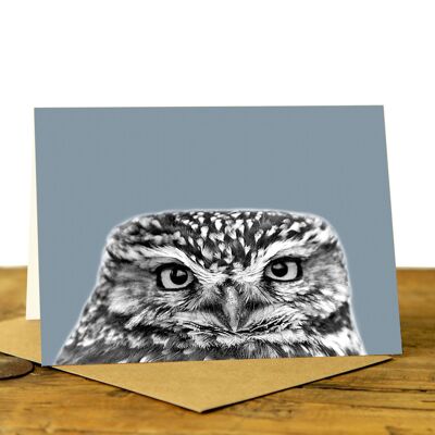 Little Owl Peeking - Greeting Card (SD-GC-75L-24-PLB)