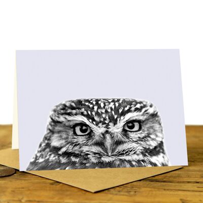 Little Owl Peeking - Greeting Card (SD-GC-75L-24-PLV)