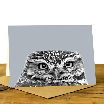 Little Owl Peeking - Greeting Card (SD-GC-75L-24-PLG)
