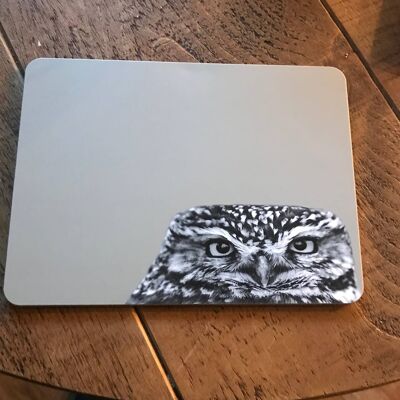 Little Owl Peeking Placemat (SD-PM-05-SND)