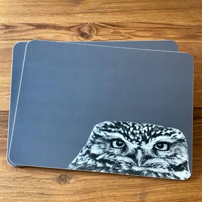 Little Owl Peeking Placemat (SD-PM-05-CHA)