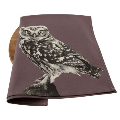 Little Owl Tea Towel (SD-TT-13-DSP)