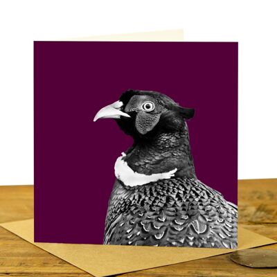 Pheasant Greeting Card (SD-GC-15SQ-42-CLA)