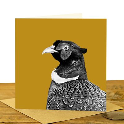 Pheasant Greeting Card (SD-GC-15SQ-42-MUS)