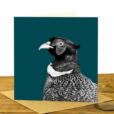 Pheasant Greeting Card (SD-GC-15SQ-42-TL)