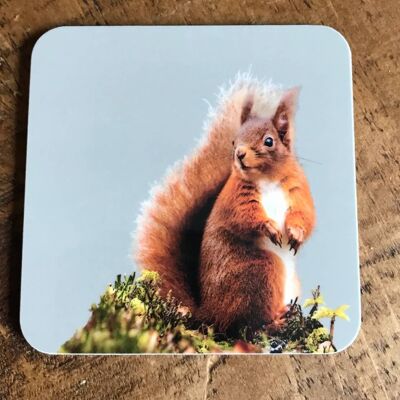 Red Squirrel Coaster (SD-CO-28-SND)