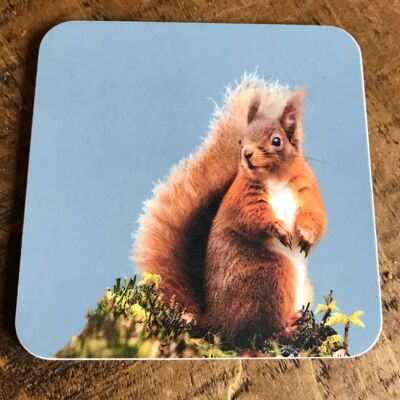 Red Squirrel Coaster (SD-CO-28-BLG)