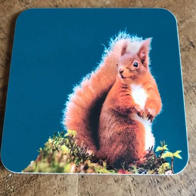 Red Squirrel Coaster (SD-CO-28-TL)