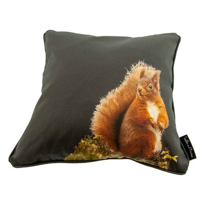 Red Squirrel Cushion Cover (SD-CSH-CT-18-45-CHA)