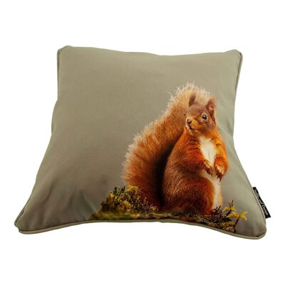 Red Squirrel Cushion Cover (SD-CSH-CT-18-45-SGY)