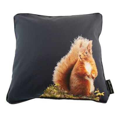 Red Squirrel Cushion Cover (SD-CSH-CT-18-45-BLB)