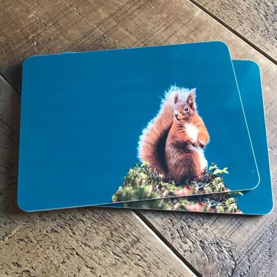 Red Squirrel Placemat (SD-PM-10-TL)